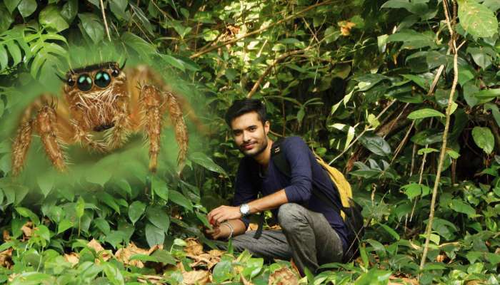 কেরলে নতুন প্রজাতির মাকড়সার সন্ধান দিলেন ভারতের ‘স্পাইডার ম্যান’!