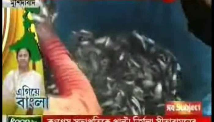 Egiye Bangla: Murshidabad Fisheries Department Distrubites Minnows Under Jol Dhoro Jol Bhoro Project