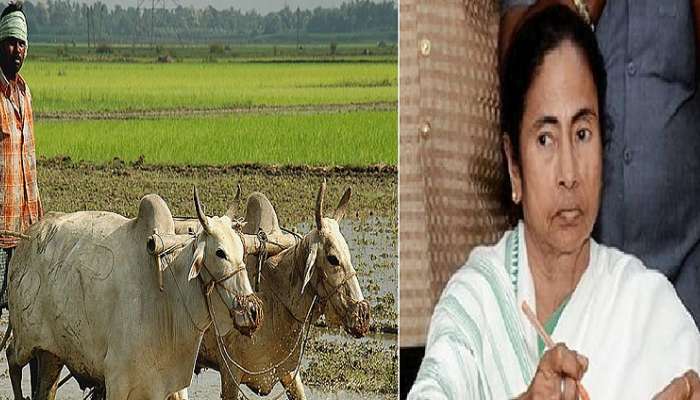 যত্সামান্য সুদের হারে রাজ্য়ের কৃষকদের জন্য বিপুল পরিমাণ ঋণের ঘোষণা যত্সামান্য সুদের হারে রাজ্য়ের কৃষকদের জন্য বিপুল পরিমাণ ঋণের ঘোষণা