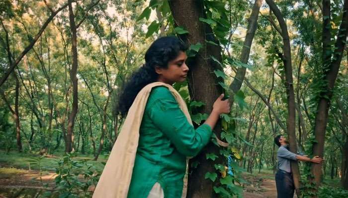 প্রধানমন্ত্রীর হেলিকপ্টার নামাতে কাটা পড়ছে শ’খানেক গাছ! যার মূল্য প্রায় ২৫ কোটি টাকা প্রধানমন্ত্রীর হেলিকপ্টার নামাতে কাটা পড়ছে শ’খানেক গাছ! যার মূল্য প্রায় ২৫ কোটি টাকা