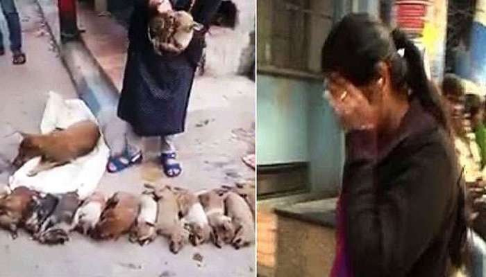 কুকুর নিধন : অভিযুক্ত ছাত্রীদের উপর নিষেধাজ্ঞা আরোপ এনআরএস কর্তৃপক্ষের কুকুর নিধন : অভিযুক্ত ছাত্রীদের উপর নিষেধাজ্ঞা আরোপ এনআরএস কর্তৃপক্ষের