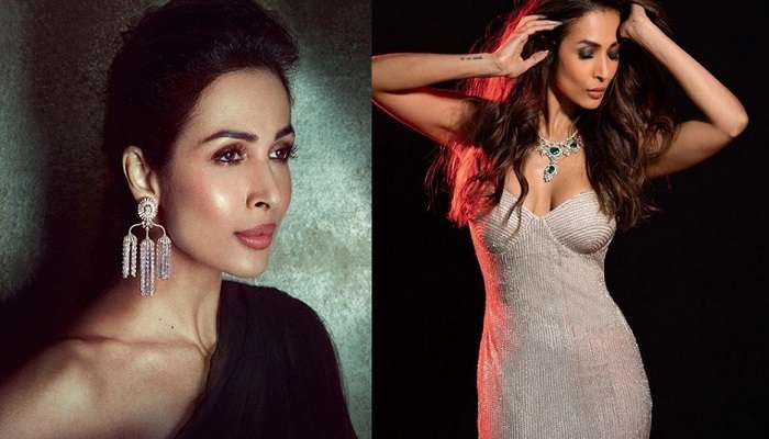 'প্রাথমিকের অঙ্কটুকুও জানেন না?' জোরদার ট্রোলিংয়ের মুখে মালাইকা 'প্রাথমিকের অঙ্কটুকুও জানেন না?' জোরদার ট্রোলিংয়ের মুখে মালাইকা