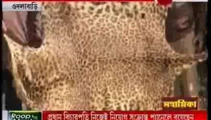 Smuggler caught red handed while trying to sell leopard’s skin
