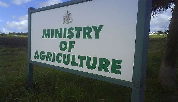 Ministry of Agriculture recruitment 2019: শতাধিক শূন্যপদে নিয়োগ করবে কেন্দ্রীয় সরকার, বেতন ৫৭,০০০ পর্যন্ত