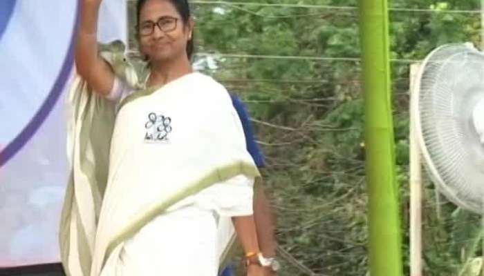 Voter Rang: TMC symbol printed saree getting popularity among cedars ahead of Lok sabha elections 