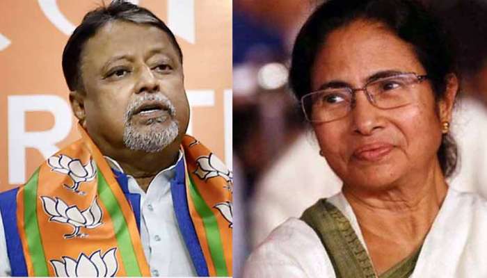 কোনও পেন ড্রাইভ নেই মমতার কাছে, ডাহা মিথ্যে বলছেন তৃণমূলনেত্রী, পালটা মুকুলের কোনও পেন ড্রাইভ নেই মমতার কাছে, ডাহা মিথ্যে বলছেন তৃণমূলনেত্রী, পালটা মুকুলের