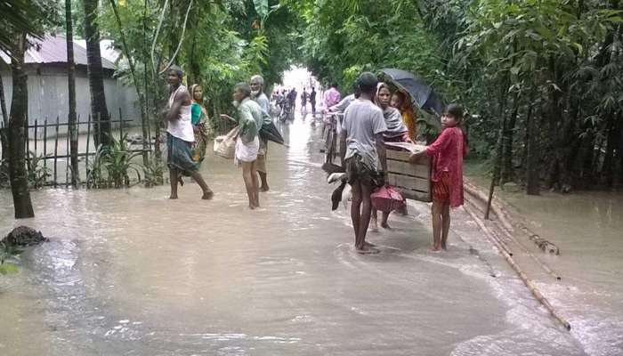 একটানা বৃষ্টি, তিস্তায় জলস্ফীতিতে কয়েক কোটি টাকার ক্ষতি বাদাম চাষিদের