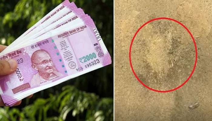 কাটমানির 'বখরা' নিয়ে শাসকদলে গোষ্ঠীসংঘর্ষ বীরভূমে, বোমাবাজি, ঘেরাও