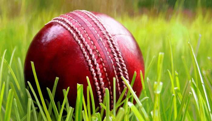 চামড়ার বল এখন অতীত, ক্রিকেটে এসে গেল 'নিরামিষ বল' চামড়ার বল এখন অতীত, ক্রিকেটে এসে গেল 'নিরামিষ বল'