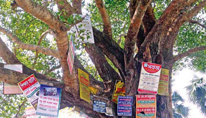 গাছের গায়ে বিজ্ঞাপন ঝোলালে এবার ৩ বছরের জেল, হতে পারে ২৫,০০০ টাকা জরিমানাও গাছের গায়ে বিজ্ঞাপন ঝোলালে এবার ৩ বছরের জেল, হতে পারে ২৫,০০০ টাকা জরিমানাও