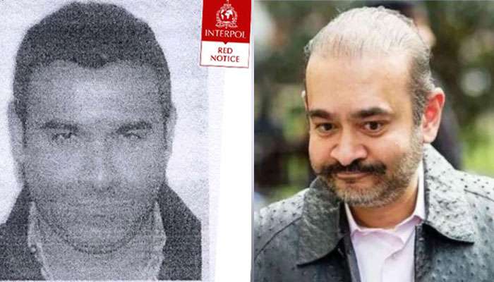 নীরবের ভাই নেহাল মোদীর বিরুদ্ধে রেড কর্নার জারি করল ইন্টারপোল নীরবের ভাই নেহাল মোদীর বিরুদ্ধে রেড কর্নার জারি করল ইন্টারপোল