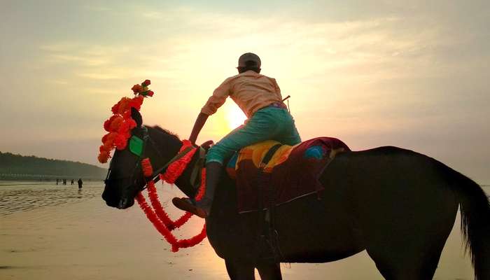 দিঘার সমুদ্র সৈকতে ঘোড়া সওয়ারি নিষিদ্ধ করল প্রশাসন দিঘার সমুদ্র সৈকতে ঘোড়া সওয়ারি নিষিদ্ধ করল প্রশাসন