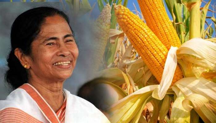 মোদী-মমতা বৈঠকের আগে, কেন্দ্রের 'কৃষি কর্মণ' পুরস্কার পেল পশ্চিমবঙ্গ মোদী-মমতা বৈঠকের আগে, কেন্দ্রের 'কৃষি কর্মণ' পুরস্কার পেল পশ্চিমবঙ্গ