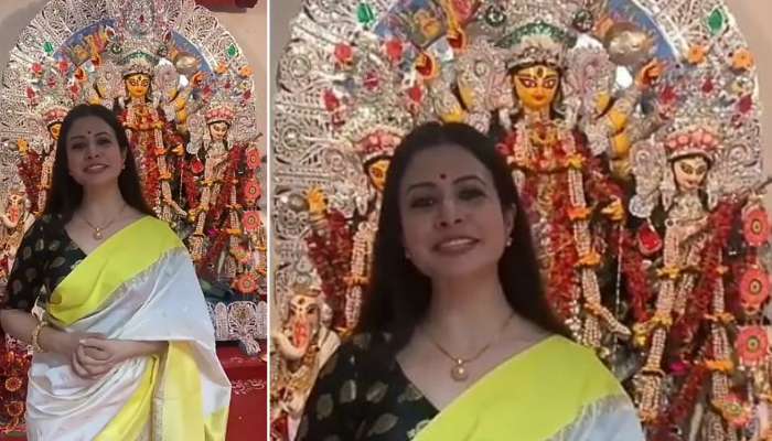 মল্লিক বাড়ির পুজোয় হাজির কোয়েল, পোস্ট করলেন ভিডিয়ো
