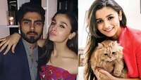 প্রাক্তন প্রেমিকের হারিয়ে যাওয়া 'বুম'কে খুঁজতে চিরুনি তল্লাশি আলিয়ার