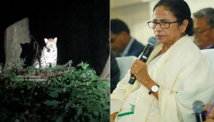 সার্কিট হাউজে মুখ্যমন্ত্রী, পিছনের জঙ্গলে ৩ চিতাবাঘের &#039;টহলদারি&#039;!