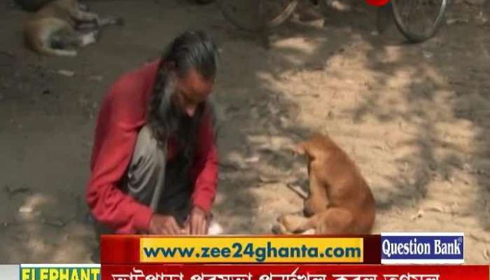 Celebrating Mankind: Purulia's Sukumar treating stray dogs for years  