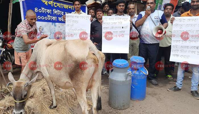 দুধে সোনা থাকলে, ৪০ হাজার টাকা দরেই দুধ কিনুক বিজেপি নেতারা! দাবি তৃণমূলের