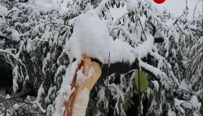 Snow fills up Kashmir