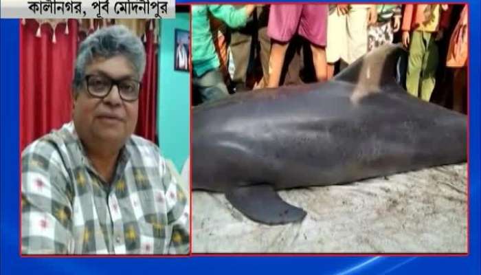 Controversy of Dolphin's death in Purba Midnapur