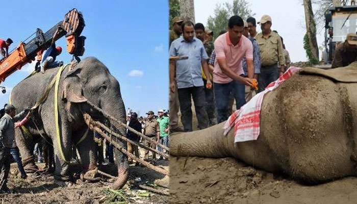 মাত্র ৬ দিনের বন্দিদশাতেই মৃত্যু হল ‘লাদেন’-এর