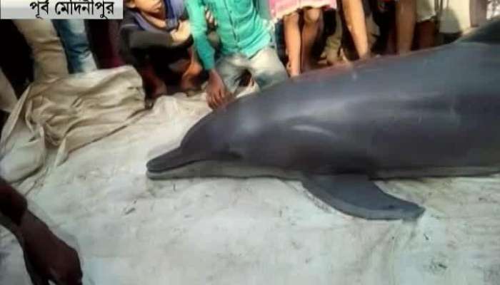 Kanthi club sues forest department on Dolphin death case