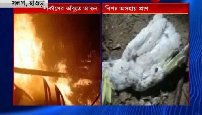 Circus fire causes death of birds