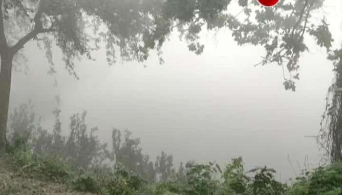 Fogg engulfs East Burdwan on Tuesday morning