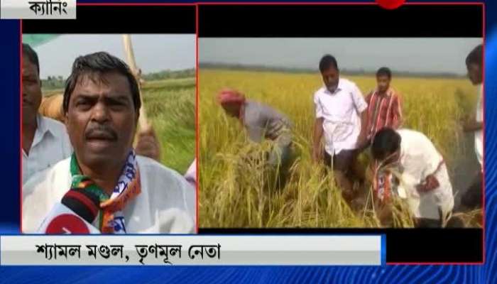 Caning MLA reaps on the paddy field with the farmer