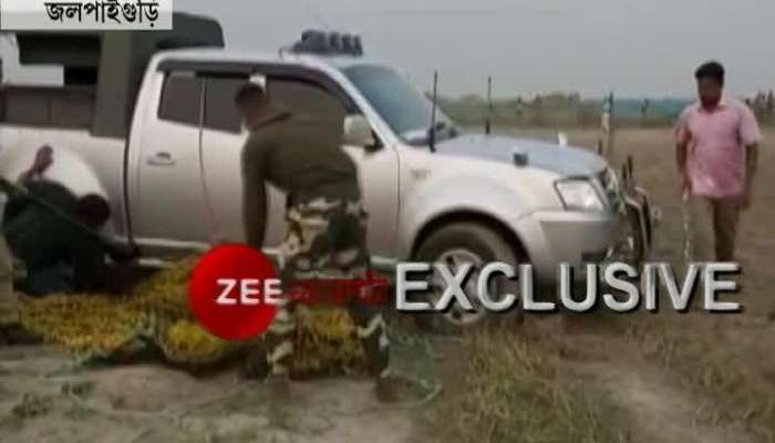 Task force head gets injured while trying to rescue a Leopard 