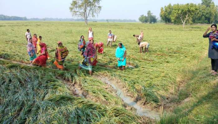 বুলবুলে ক্ষতিগ্রস্ত কৃষকদের আর্থিক সাহায্য দেওয়ার শুরু করল নবান্ন  