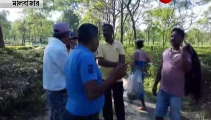 Leopard fear scares workers at Leace River Tea Garden