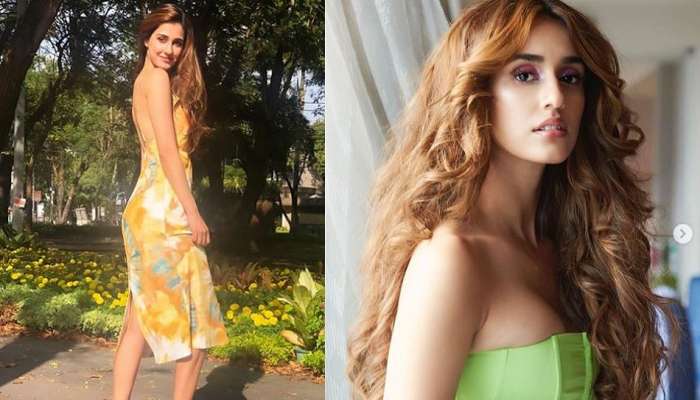'দেশ জ্বলছে, আপনি ফটোশ্যুট করছেন?' দিশাকে আক্রমণ নেটিজেনদের
