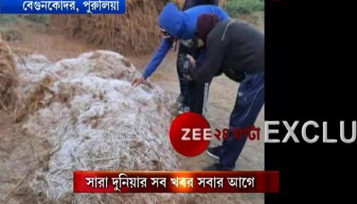 Snowfall in Purulia? See what experts have to say