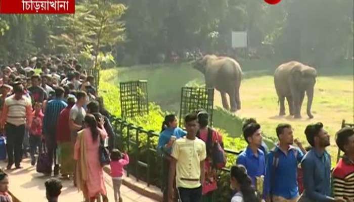 Crowd gather up at Alipore Zoo and Nicco Park on New Years Eve