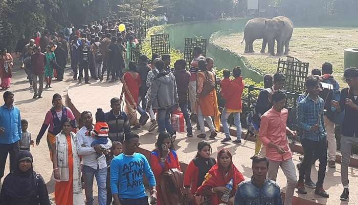 বছরের শুরুতে আট থেকে আশির হট ফেভারিট ডেস্টিনেশন চিড়িয়াখানা