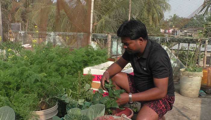 ফেলে দেওয়া প্লাস্টিক-থার্মোকল দিয়ে ছাদ-বাগান, তাক লাগাচ্ছেন নদিয়ার কম্পিউটর ব্যবসায়ী