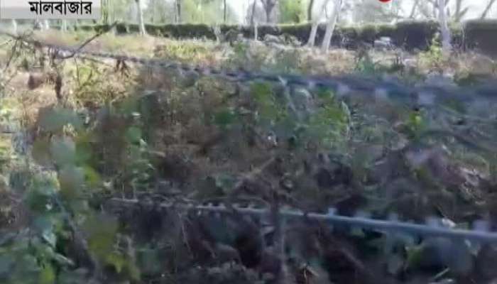 Barbwire causing distress to Elephants, Forest department looking for alternate methods