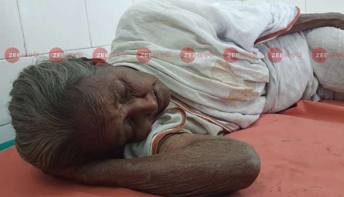 সন্তানরা আবর্জনার মতো ছুড়ে ফেলে দিয়েছে, মায়ের সম্মানে বৃদ্ধাকে নিয়ে গেল পুলিস 