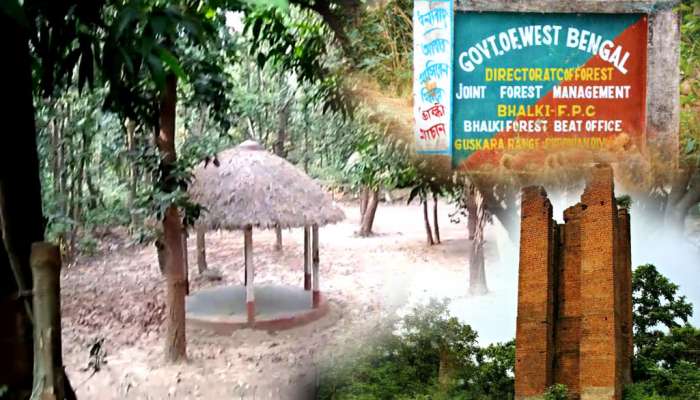 শাল, সেগুনের ছায়ায়, উইকএন্ডে চলুন ভালকি মাচান সবুজের মায়ায়! শাল, সেগুনের ছায়ায়, উইকএন্ডে চলুন ভালকি মাচান সবুজের মায়ায়!