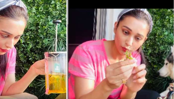 করোনার প্রকোপ: রোগ প্রতিরোধ ক্ষমতা বাড়াতে 'হার্বাল টি' বানাতে শেখাচ্ছেন মিমি