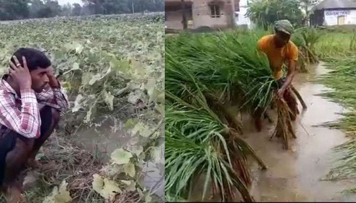 আমফানে চাষের ব্যাপক ক্ষয়ক্ষতি, জোগানের ঘাটতিতে আগুন সবজি বাজার