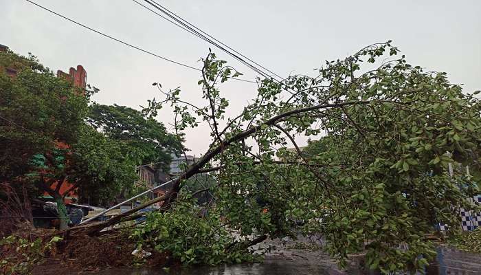 আমফানের এক সপ্তাহ কাটার আগেই প্রাকবর্ষার ঝড়বৃষ্টিতে নাজেহাল বাংলা, আহত বহু