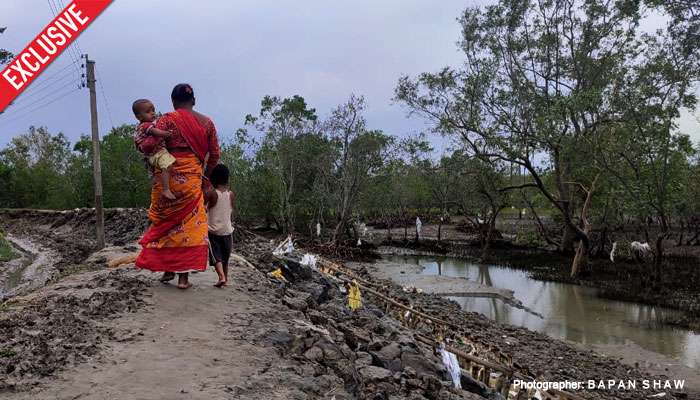 ক্ষত-বিক্ষত সুন্দরবনের ফুসফুস, চিকিত্সা না হলে মানচিত্র থেকে মুছে যেতে পারে ম্যানগ্রোভ