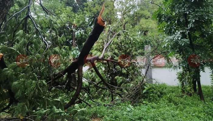 আমফানে ক্ষতিগ্রস্ত এলাকা পরিদর্শনে আজ রাজ্যে সাত সদস্যের কেন্দ্রীয় প্রতিনিধি দল