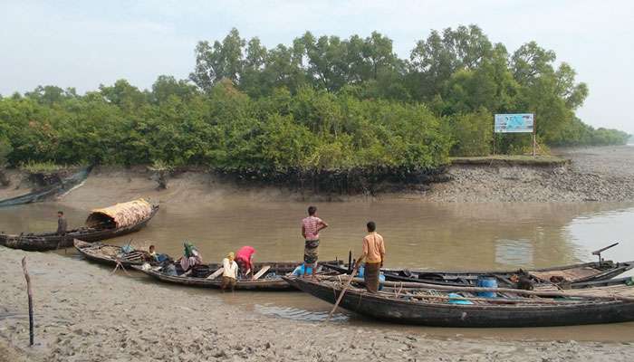 হাসপাতাল বহুদূর, পৌঁছনোর আগে মাঝ নদীতে নৌকাতেই সন্তান প্রসব