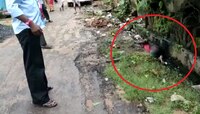 রোগীর দেহ উদ্ধার নোংরা নালা থেকে! প্রশ্নের মুখে দুর্গাপুর মহকুমা হাসপাতাল