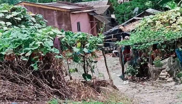 টানা ৩৬ ঘন্টা ধরে পড়ে &#039;করোনা&#039; মৃতদেহ, ধরেছে পচন, একঘরে পরিবার 