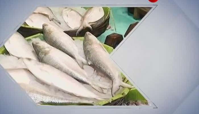 Offbeat24:Good news for Pujo! Padma's Hilsa left for Kolkata, Bangladesh