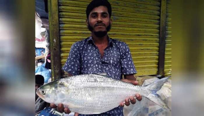 আস্ত একখানা ইলিশ বিক্রি হল আট হাজার টাকায়, বাজারে হইচই